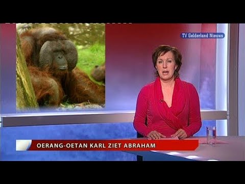 GLD Nieuws 1 mei 2010 - Nieuws