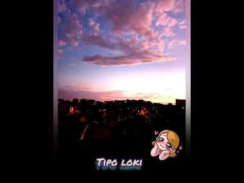 Tipo loki