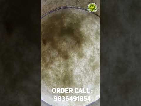 Grass Crap Spawn (Jera) delivery 2025 going on 9836491854 #trending