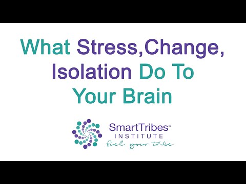 What Stress, Change, Isolation Do To Your Brain