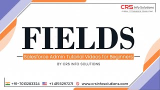 What are Fields in Salesforce Admin?