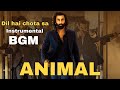 Dil hai chota sa choti se asha bgm song ANIMAL MOVIE|instrumental song|ranbir kapoor entry song