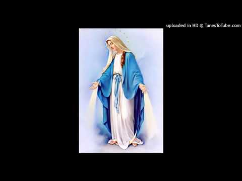 Chiều tâm tư Sheet - Lệ Hằng