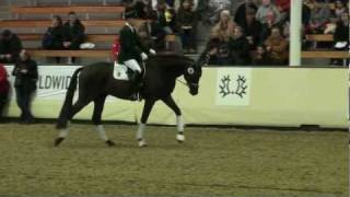 Video di E.H. Millennium