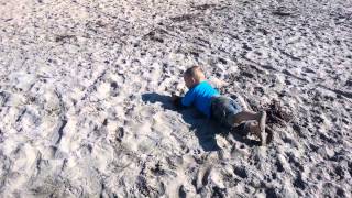 Rolling in the Sand