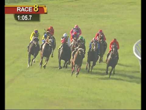 02 JULY 2016  RACE 8