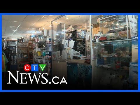 Hobbies for the holidays