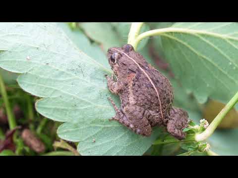 Nos vemos de nuevo en diciembre.