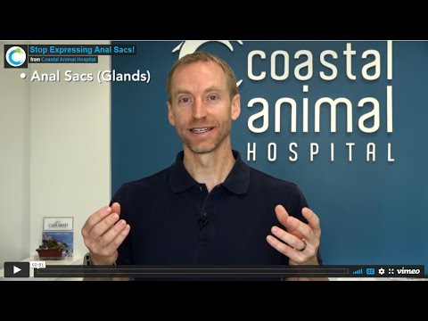 Do Humans Need To Express Glands