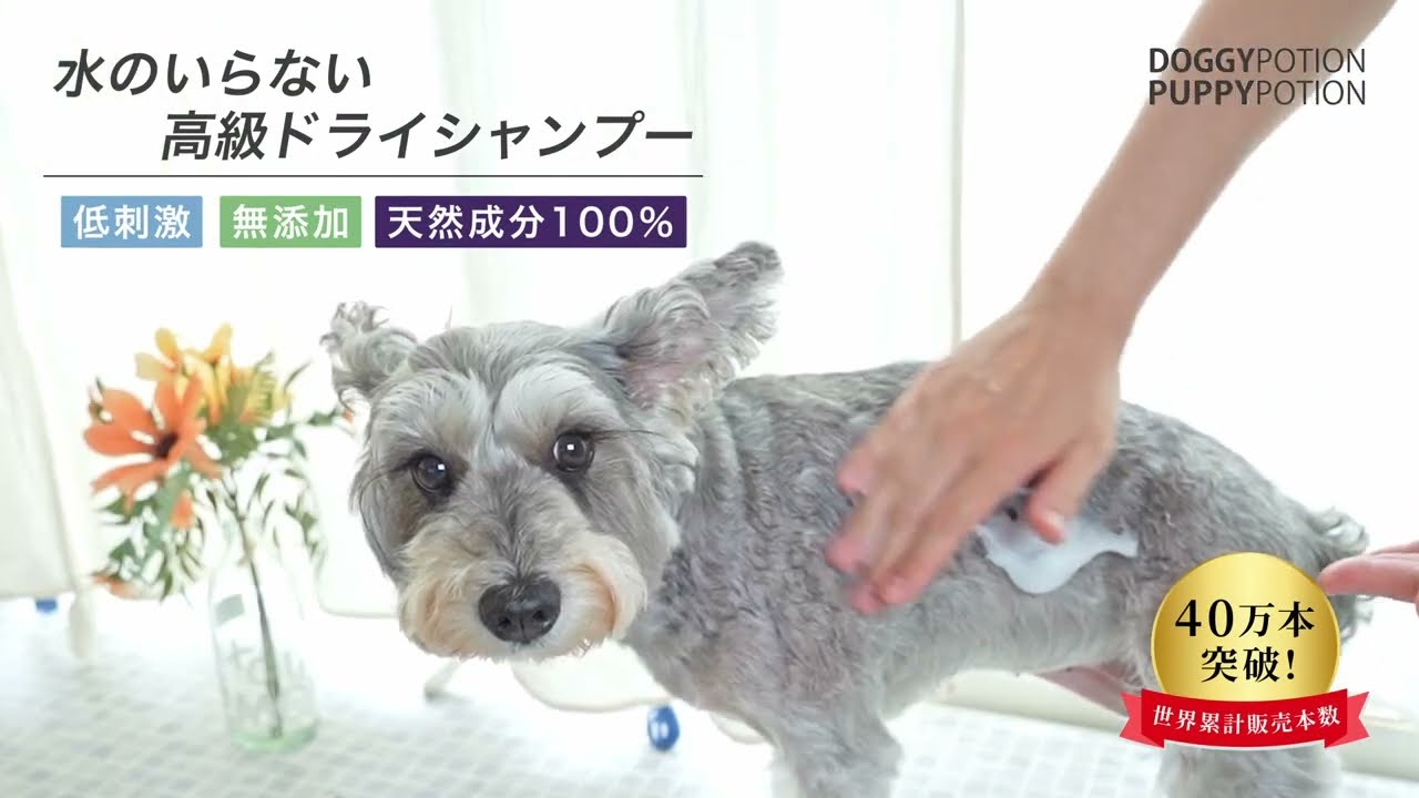 ペット用品の商品動画事例｜手軽なケアが伝わる使用シーン