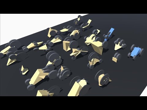 Evolution Simulator