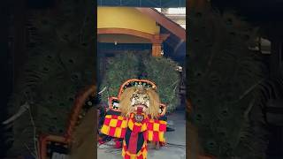 Download lagu WOW😱Pembarong Reog Cilik Ngamuk👹🦚#reogponorogo #reogngamuk #jaranan #shorts #feedshorts #barongan mp3 Download lagu WOW😱Pembarong Reog Cilik Ngamuk👹🦚#reogponorogo #reogngamuk #jaranan #shorts #feedshorts #barongan mp3