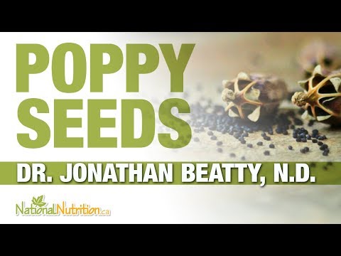 All About the Poppy