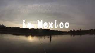 preview picture of video 'Topwater Bass Fishing in Mexico 【No.02】'