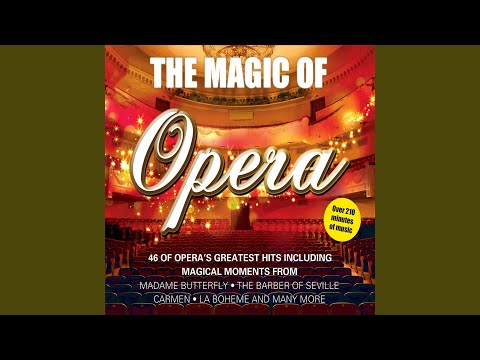 The Marriage of Figaro: Non so più cosa son