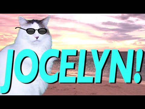 HAPPY BIRTHDAY JOCELYN! - EPIC CAT Happy Birthday Song