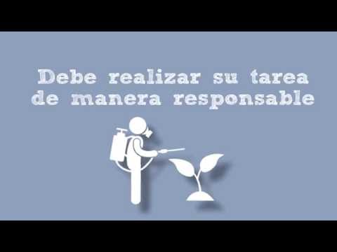 SPOT PLANTADOR DE TABACO