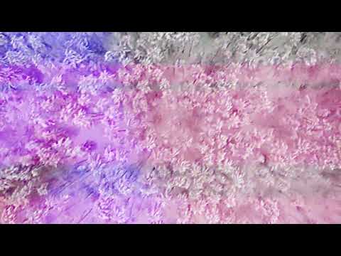 Snowface 41 - Frostfield