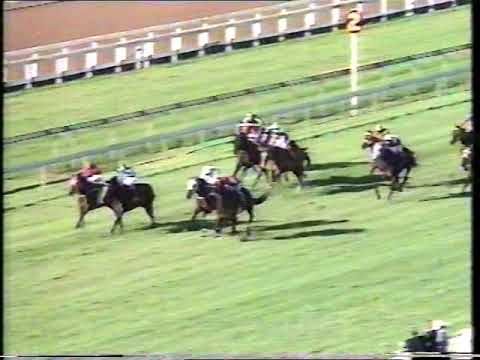 1991 Brisbane Cup