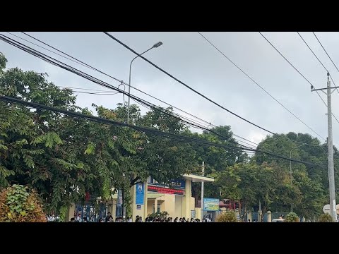 近隣 (neighborhood)