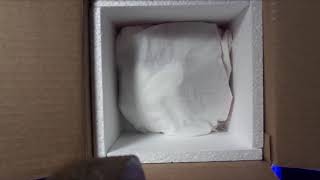 (blast from the past 2017)" HUGE surprise from Always Evolving Pythons! Old Stock