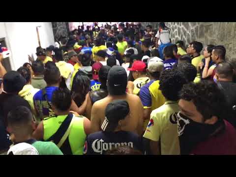 "La monumental 16 ðŸ‡ºðŸ‡¦ðŸ’™NauCAlpanðŸ’›ðŸ‡ºðŸ‡¦" Barra: La Monumental &bull; Club: América