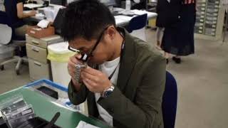 自民党の有志議員は、市場規模が拡大する「トレーディングカード」の振興を目指し、議員連盟を設立する方針を固めた。偽造品の流通や転売目的の大量