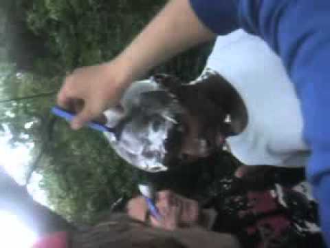 Harre Rasieren HolterTv