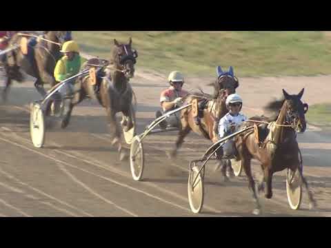 Renntag 19.08.2018 - 10. Rex K-Rennen (Nord-Cup) / Pferde 1-5 = 2200 m, Pferde 6-9 = 2220 m