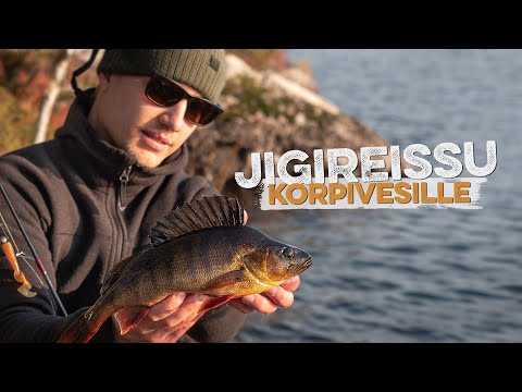 Tummia ahvenia jigillä – Syksyinen kalareissu syrjäiselle järvelle