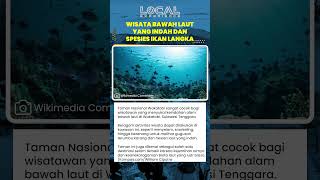 Keindahan Alam Bawah Laut Taman Nasional Wakatobi sebagai Destinasi Selam Terbaik di Dunia