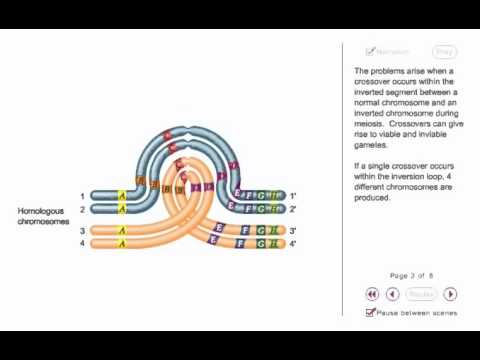 Crossing over animation