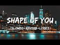 Shape Of You Ed Sheeran Song Slowed Reverb Lyrics