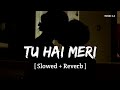 Tu Hai Meri Slowed Reverb Sachet Tandon Parampara Tandon YUNIK 2 0