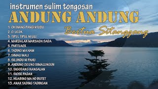 Download lagu ANDUNG ANDUNG NONSTOP BERTUA SITANGGANG SULIM TONG... mp3