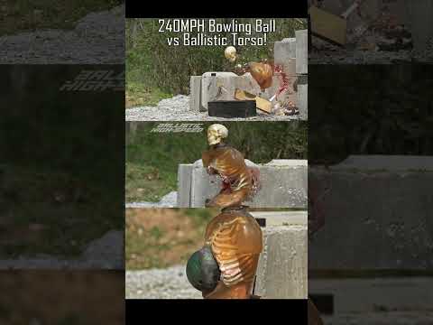 Bowling Ball Cannon vs Torso!