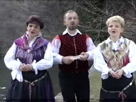 Ansambel Slovenija - Prevandral sem tuje dežele