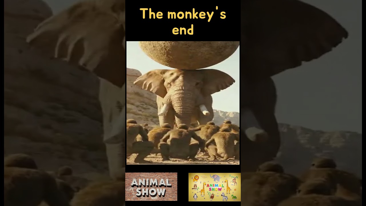 This was the monkey's fate #funny #animals