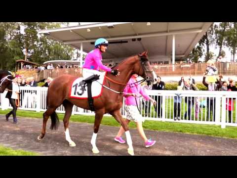 Bank Of Burden Marit Sveaas 2016