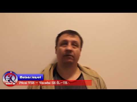 Vecsési SE Él - TEAM Férfi Kézilabda - Molnár József
