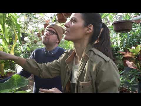 Zuidas Botanische Tuin Tour: Part 2 - Plant One On Me — Ep 084