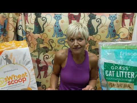 Comparing Wheat & Grass Cat Litter