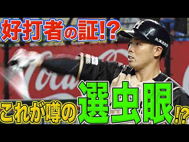 【逆転タイムリー】ファイターズ・近藤 これが噂の『選虫眼（選球眼）』