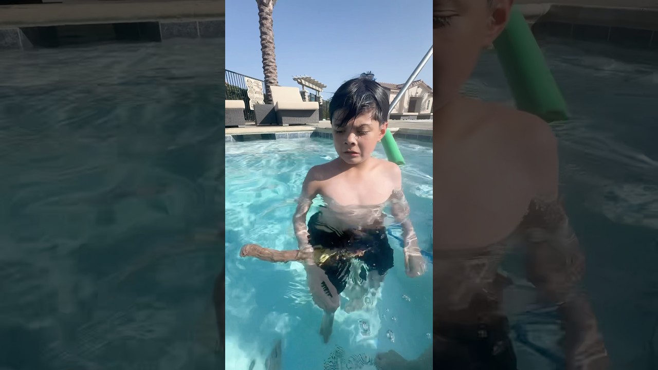 Do NOT Go In The Pool!