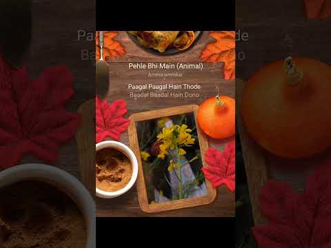 pahle bhi main (Animal) | Female version |#Manjusha 💕💕💕