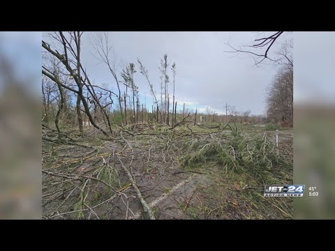 'Microburst' leaves trail of damage in Crawford County