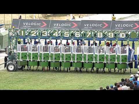 RM26 R9 | Volatile Energy | R.Bheekary