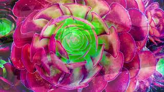 Forever (feat. Musiq Soulchild): The Floacist