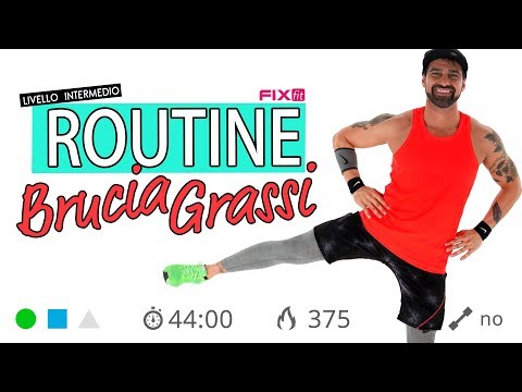 Esercizi Per Dimagrire A Casa - Allenamento Completo Brucia Grassi Senza Salti