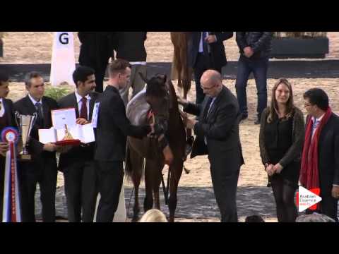 3rd place-N.74 LUIGI - Paris 2015 - Yearling Colts Championship (Class CM10)
